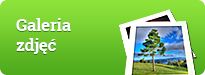 Galeria zdjęć